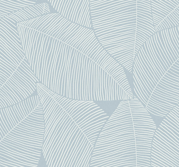 Driftwood Weave - Sage Mist | Malibu Wallcovering