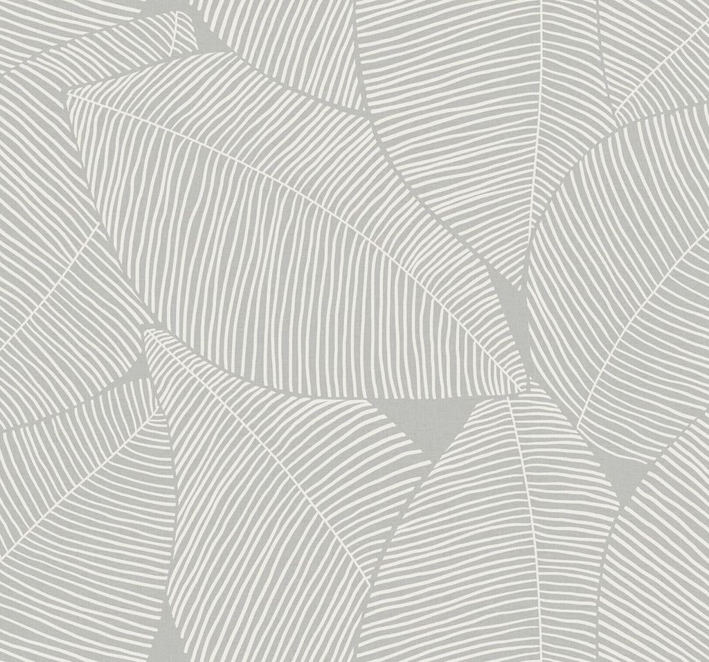 Malibu Summer Magnolia Wallpaper - Coastal Botanical - Daydream Gray | Malibu Wallpaper