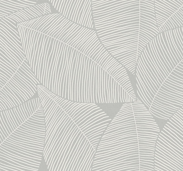 Malibu Summer Magnolia Wallpaper - Coastal Botanical - Daydream Gray | Malibu Wallpaper