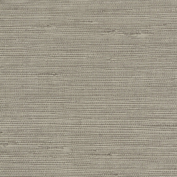 Paris Living Well - Sanctuary Mink Wallcovering | Phillipe Romano