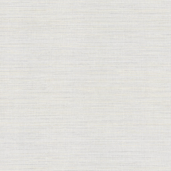 Paris Longevity Steel Wallcovering | Phillipe Romano