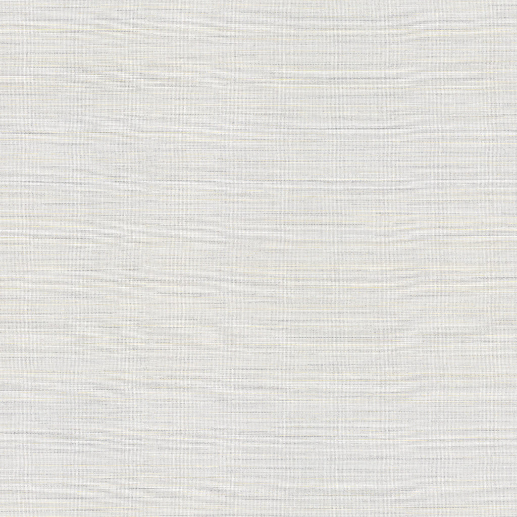 Paris Longevity Steel Wallcovering | Phillipe Romano
