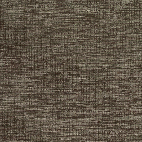 Prague Cayman Coyote Wallcovering | Phillipe Romano