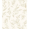 Olive Branch  | Jeffrey Stevens