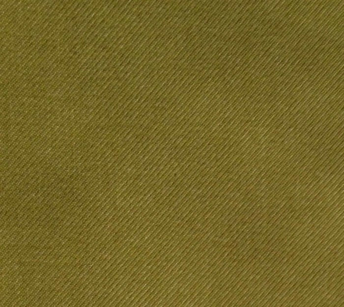 Angelfish - Katydid Wallcovering | Phillipe Romano