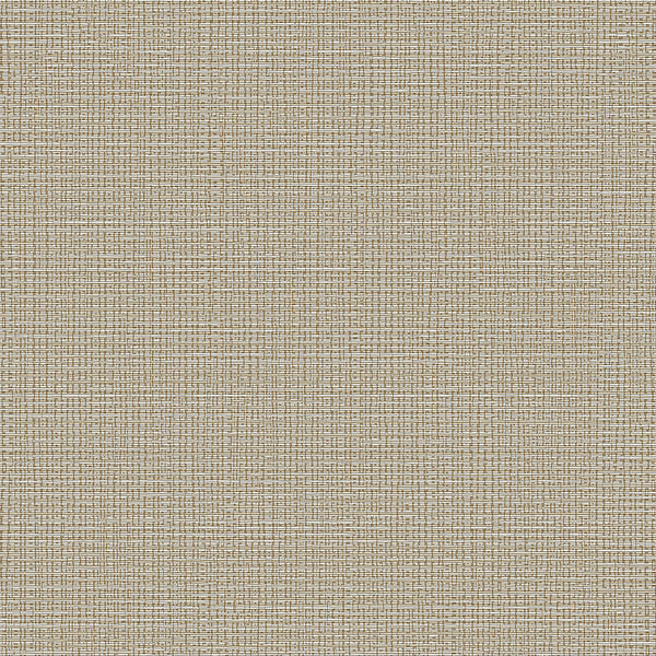 Prague Gold Rush Sandbar Wallcovering | Phillipe Romano