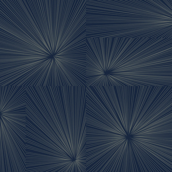 Burst Navy | Maharam