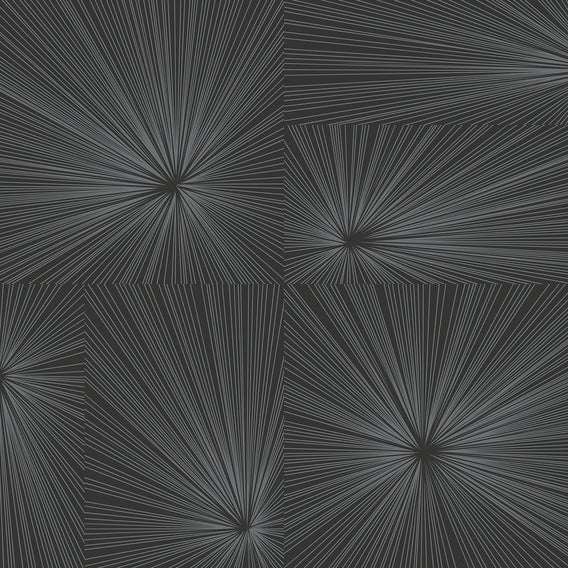 Burst Charcoal Gray | Maharam