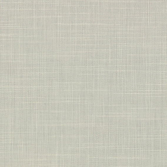 Forage Kinglet | Maharam