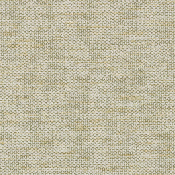 Husk Melon | Maharam