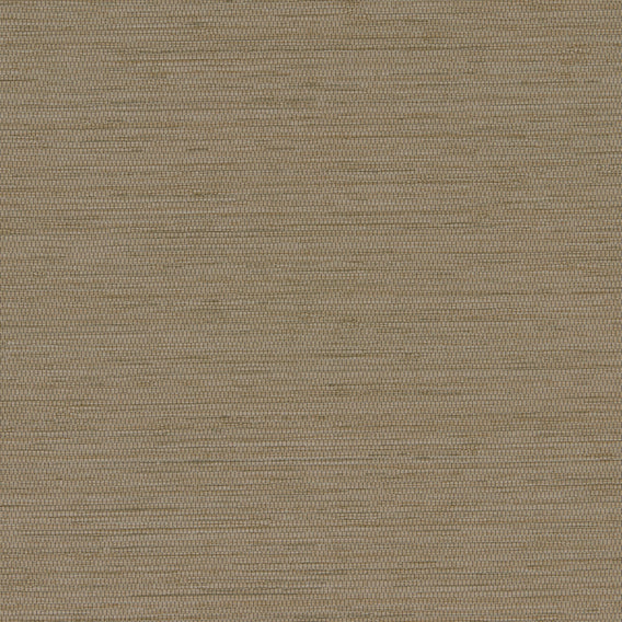 Poplar Ritual | Maharam
