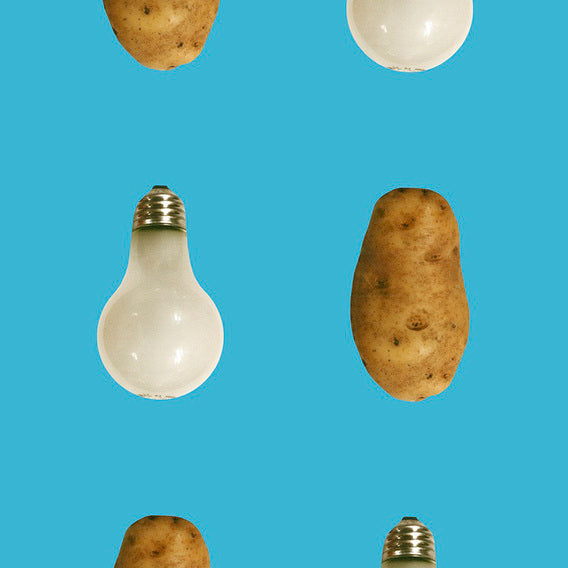 (Potato/lightbulb - Blue) By John Baldessari Cerulean | Maharam