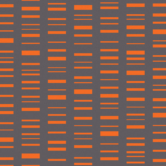 Roman Stripe By Alexander Girard, 1952 Orange On Dark Gray | Maharam