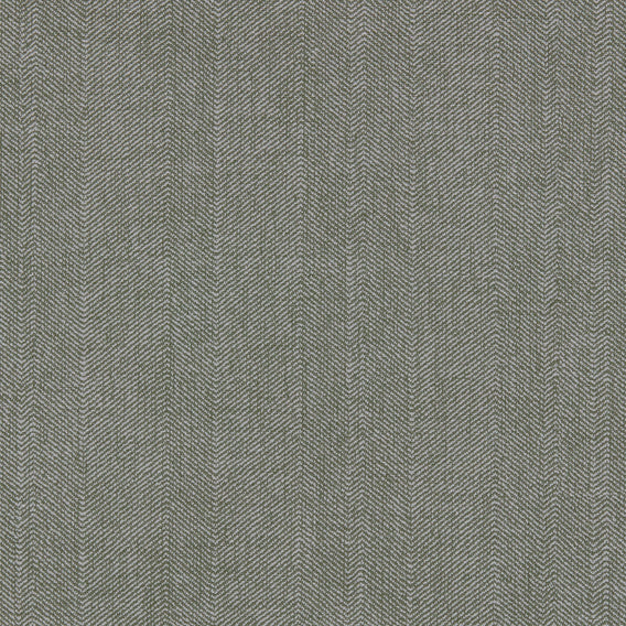 Spruce Dinosaur | Maharam