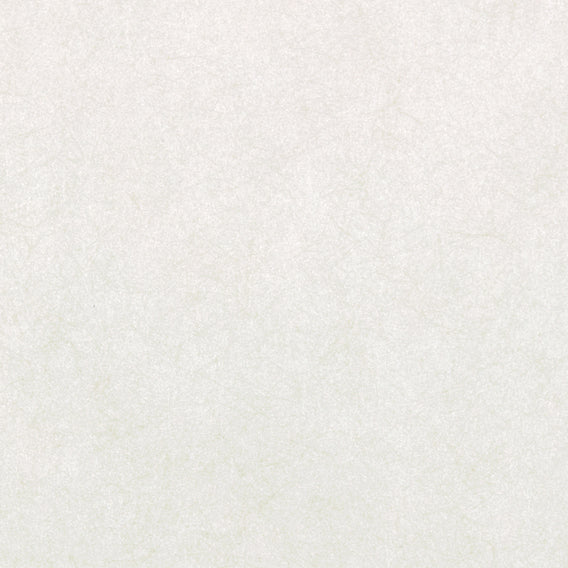 Spun Bashful | Maharam