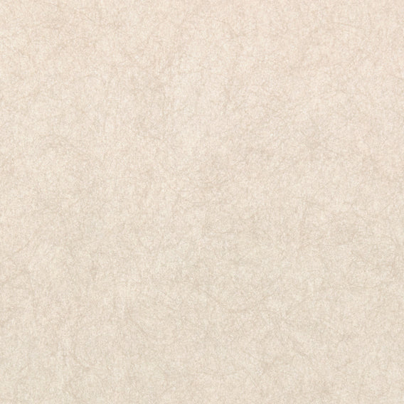 Spun Beige | Maharam