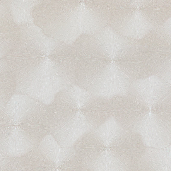 Stellar Pierogi | Maharam