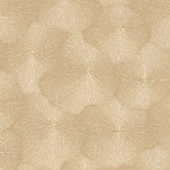 Stellar Cuttlefish | Maharam