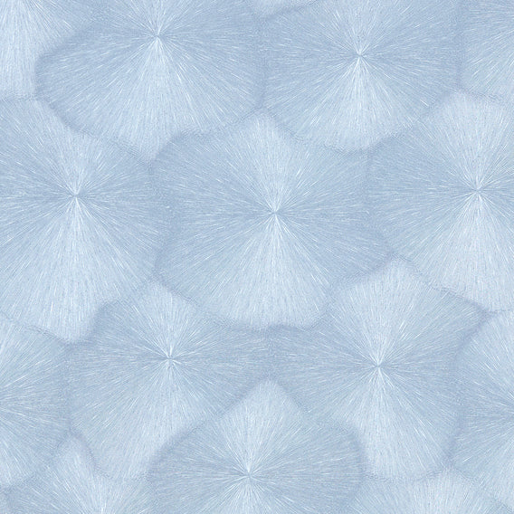 Stellar Wakeboard | Maharam