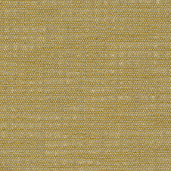 Tek-wall Ridge Wasp | Maharam