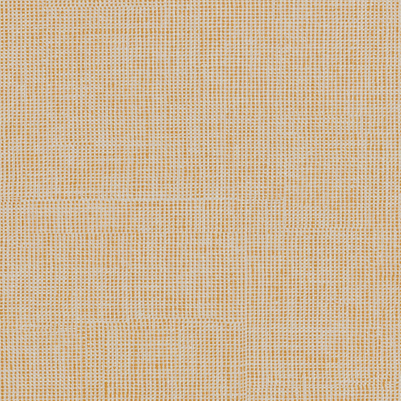 Till Cashew | Maharam