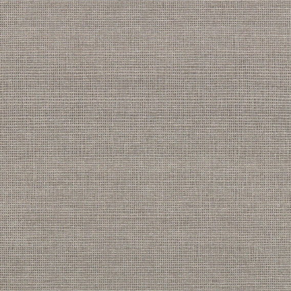 Tithe Cicada | Maharam