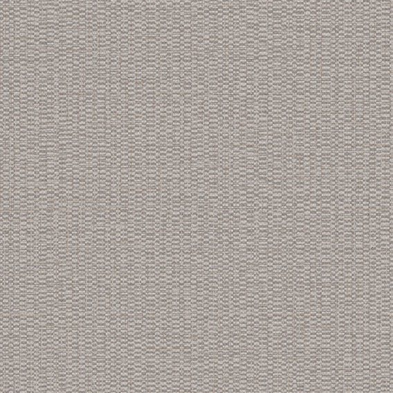 Trust Prance | Maharam
