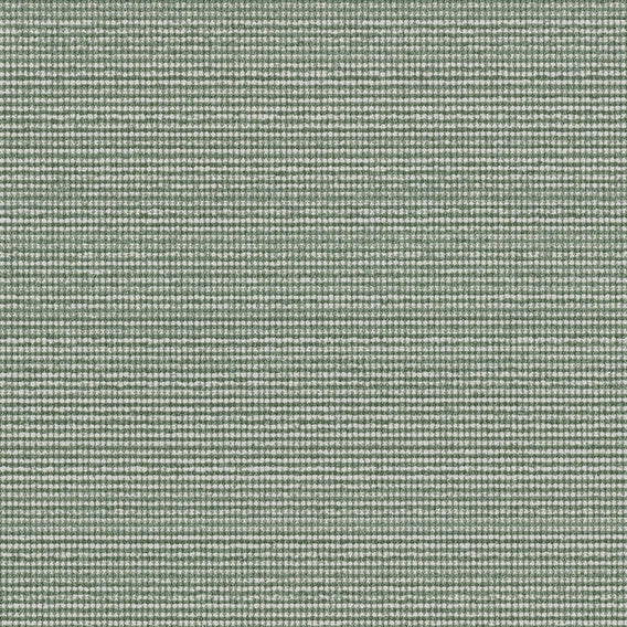 Tussle Poplar | Maharam