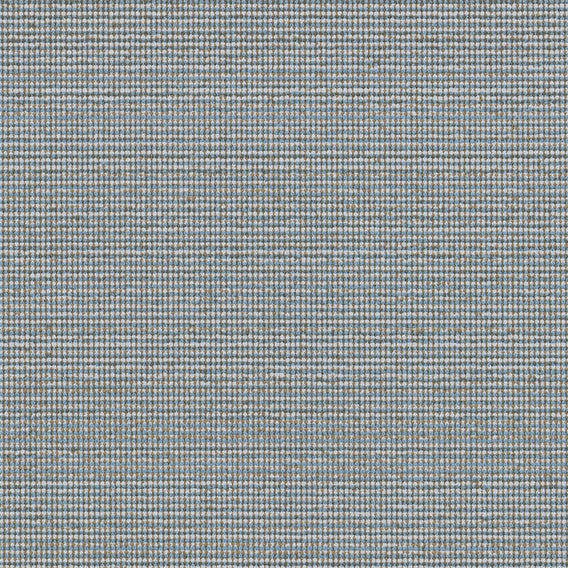 Tussle Canal | Maharam