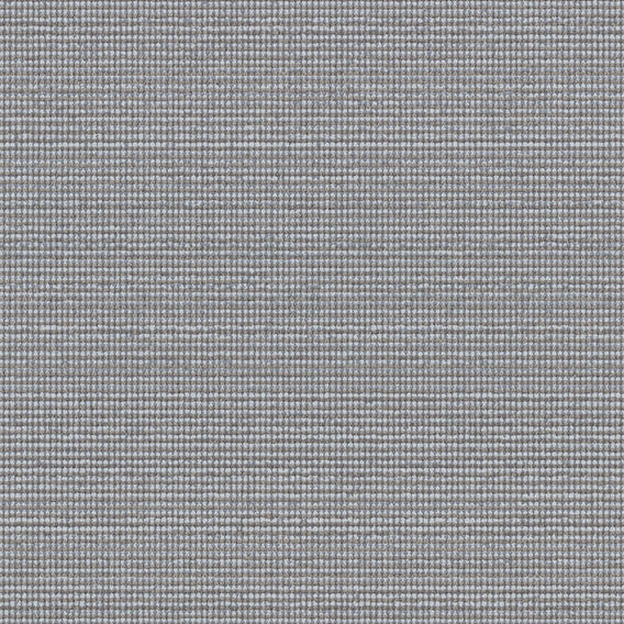 Tussle Ostrich | Maharam