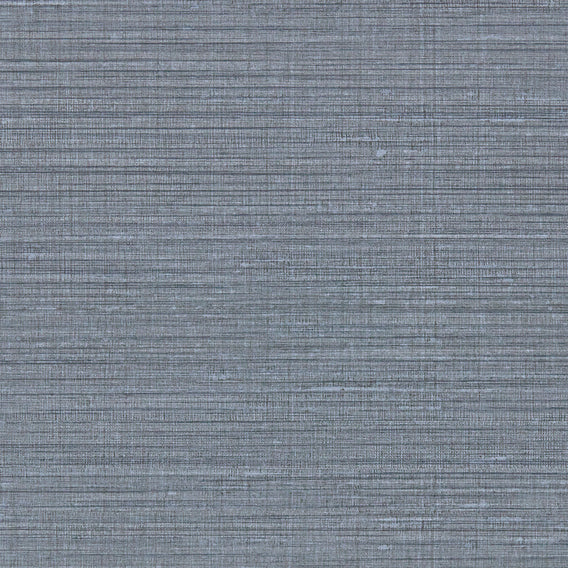 Zither Torrent | Maharam