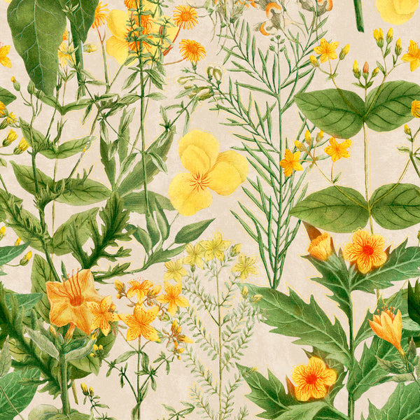 Mimulus - Taupe, Green, Yellow Wallcovering | Mind the Gap