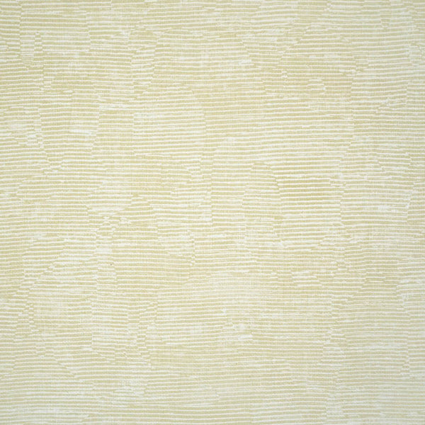 Le Zima Poplar Type 2 | Phillipe Romano