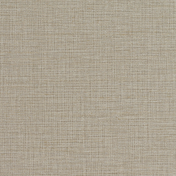 Prague Nielson Dove Wallcovering | Phillipe Romano