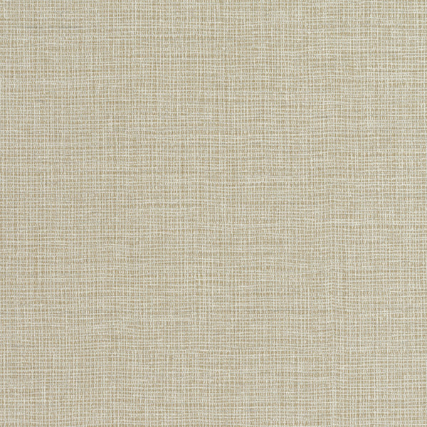Prague Nielson Limestone Wallcovering | Phillipe Romano
