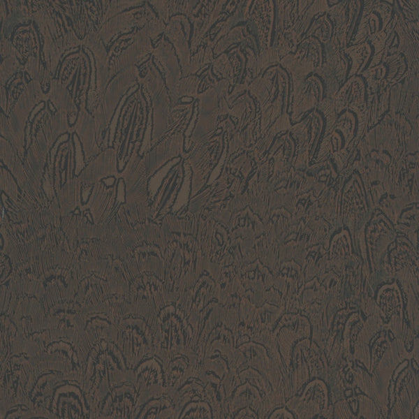 La Umbrelo Tortoise Wallpaper | Phillipe Romano