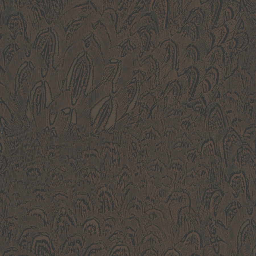 La Umbrelo Tortoise Wallpaper | Phillipe Romano