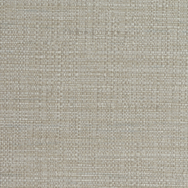 Prague Carrina Gypsum Wallcovering | Phillipe Romano