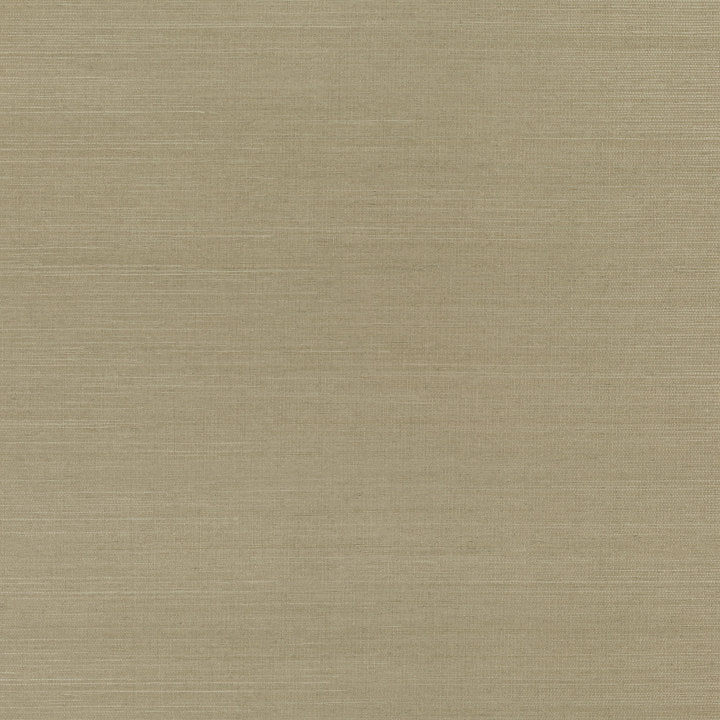 Sisal, Parchment
