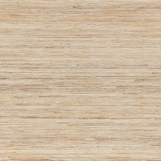 Palm, Harvest
