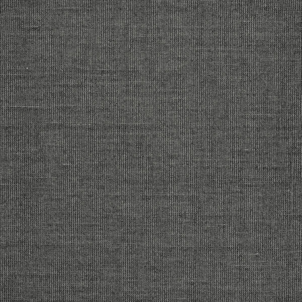 Canvas Typhoon Wallpaper | Mark Alexander 