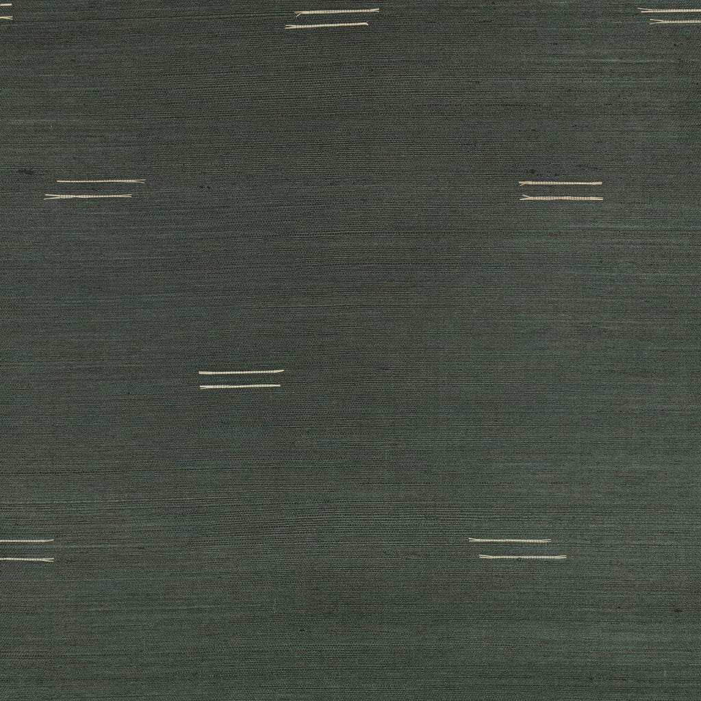 Suru Wallpaper Typhoon | Mark Alexander 