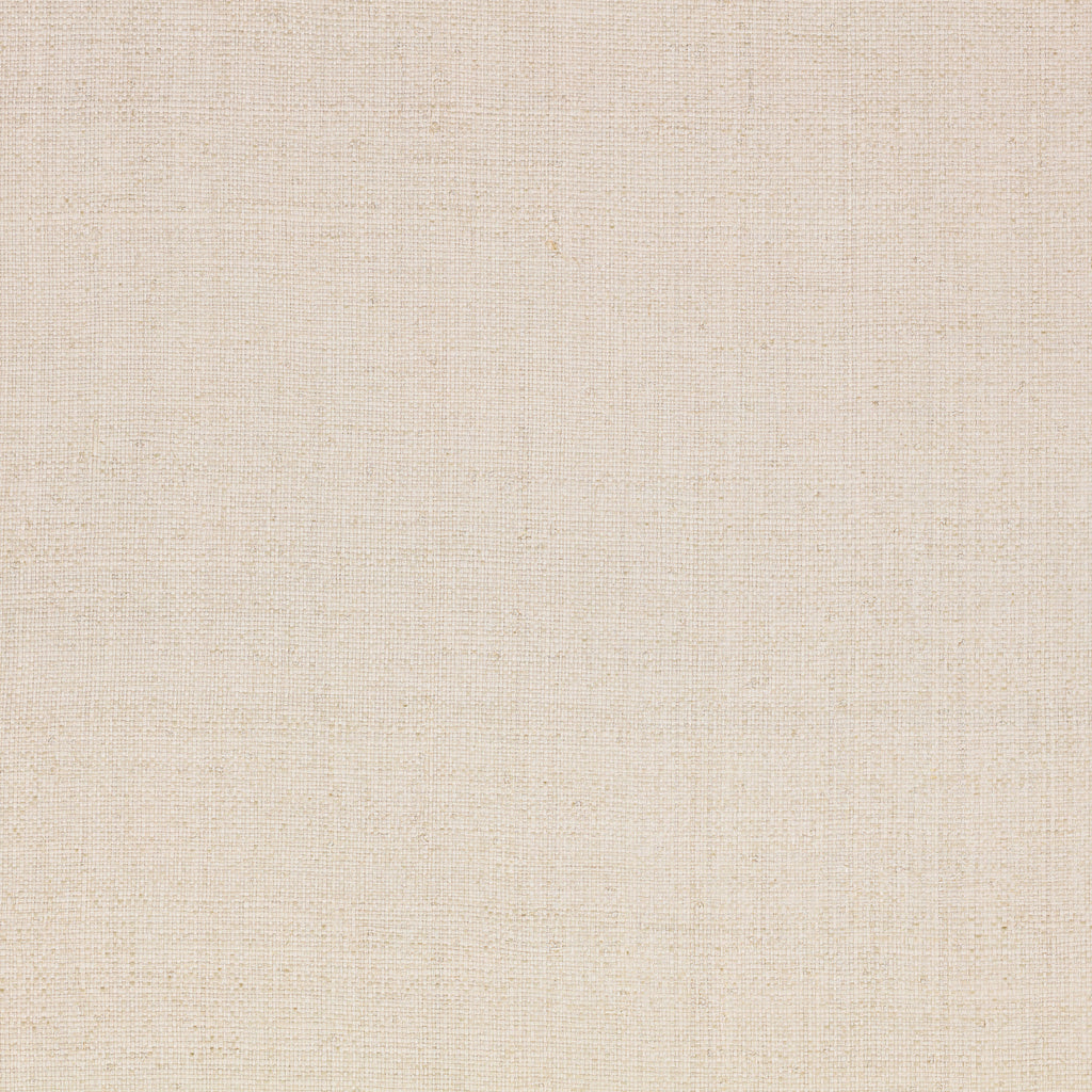 Palm Madagascar Wallpaper  Whitewash | Mark Alexander