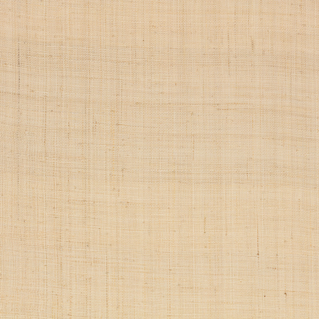 Palm Madagascar Wallpaper  Natural | Mark Alexander