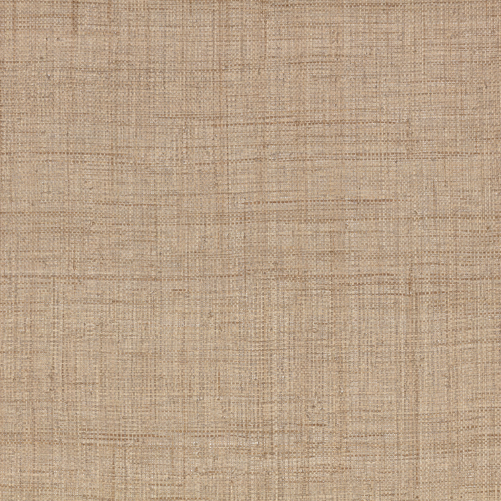 Palm Madagascar Wallpaper  Harvest | Mark Alexander