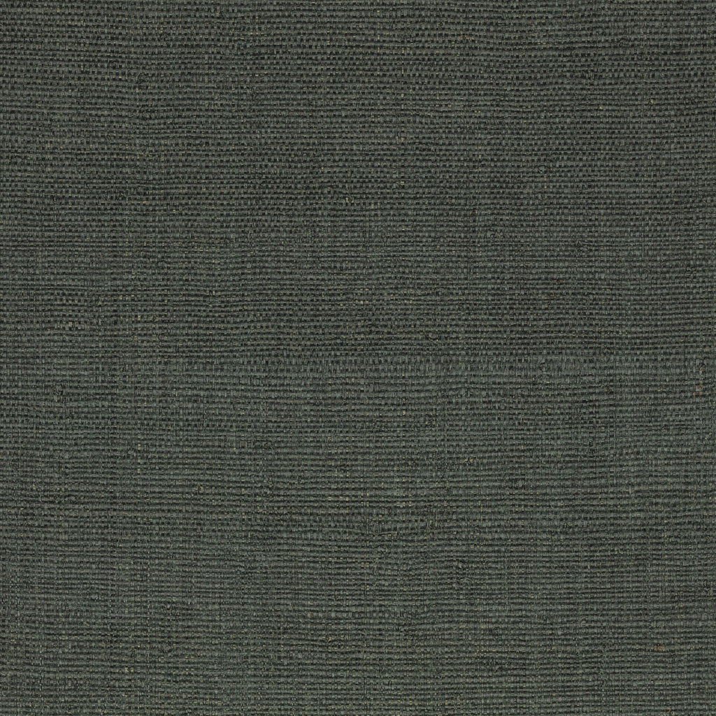 Palm Madagascar Wallpaper  Typhoon | Mark Alexander