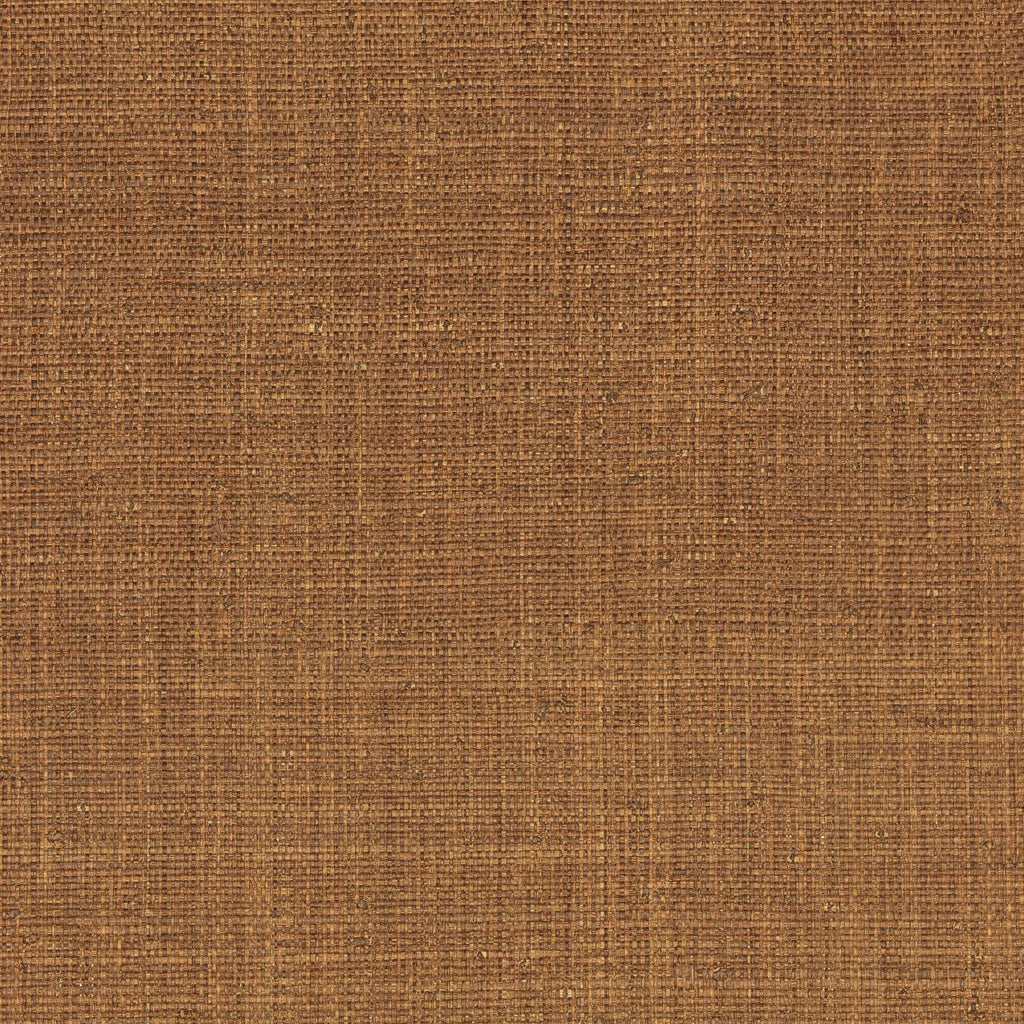 Palm Madagascar Wallpaper  Pimento | Mark Alexander