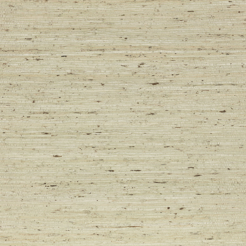 Arrowroot Wallcovering  Pale Celadon | Mark Alexander