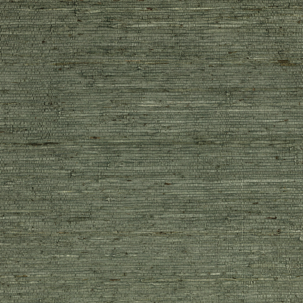 Arrowroot Wallcovering  Typhoon | Mark Alexander