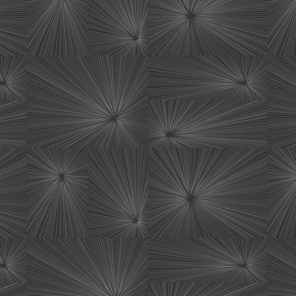 Burst Charcoal Gray | Maharam